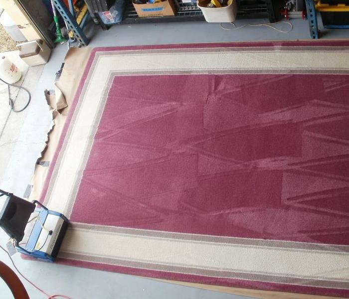 Area rug in the cleaning process.